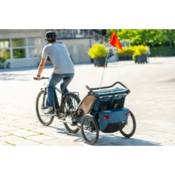 Remorque Cross 2 Pour 2 Enfants THULE : Comparateur, Avis, Prix