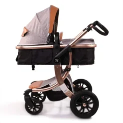 Duo Poussette Sofie CANGAROO : Comparateur, Avis, Prix
